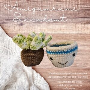 Handmade Amigurumi Succulent with Smiling Pot
